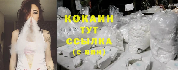 ГАЛЛЮЦИНОГЕННЫЕ ГРИБЫ Абаза