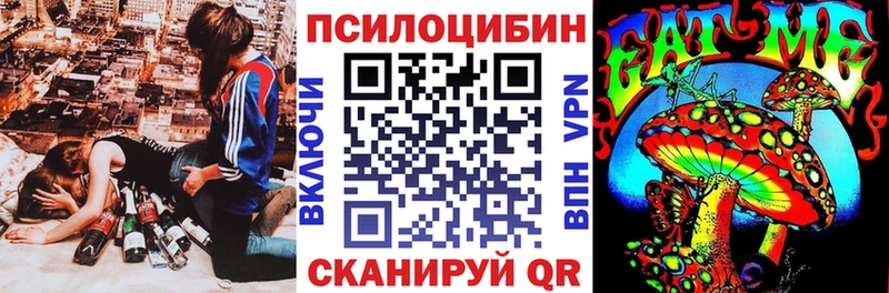 Псилоцибиновые грибы Cubensis  Абинск 